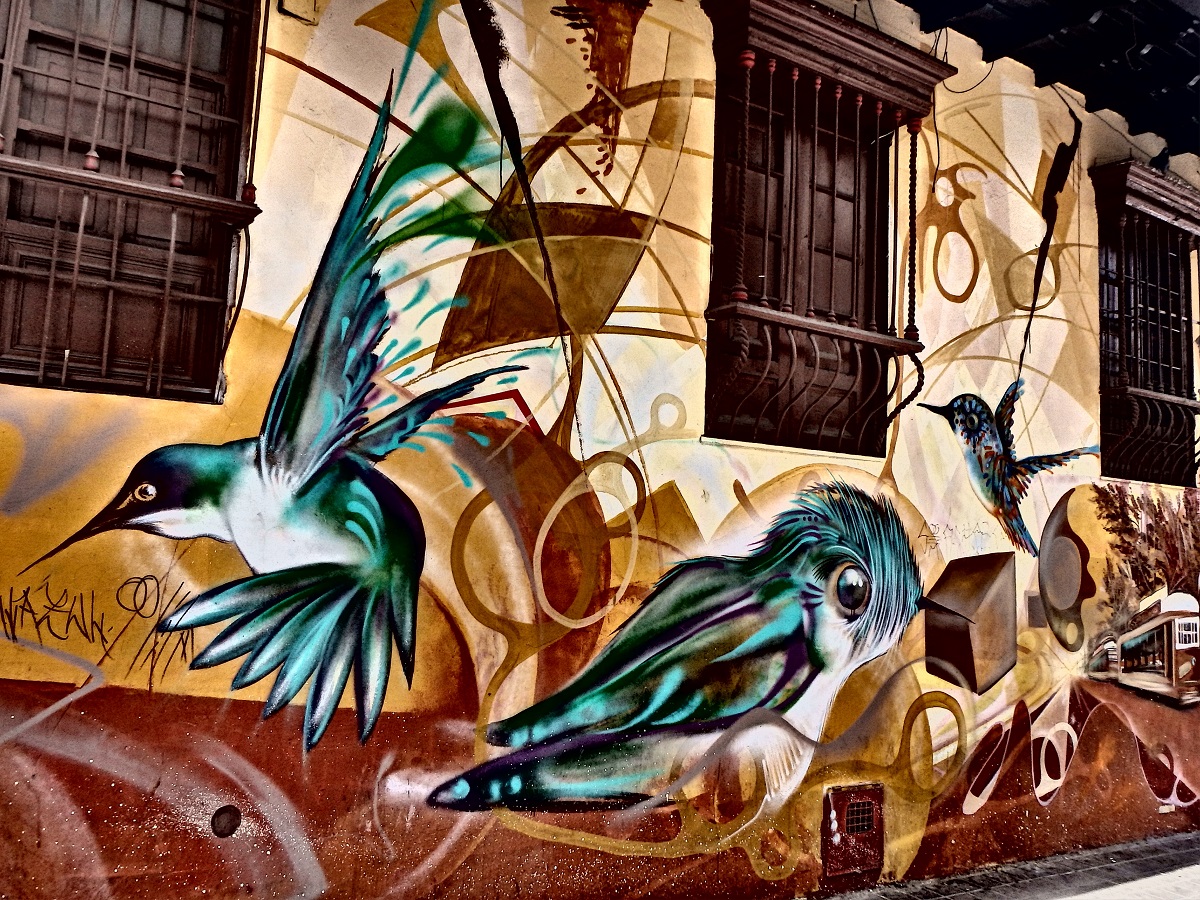 Beautiful street art of hummingbirds along a wall in Bogota