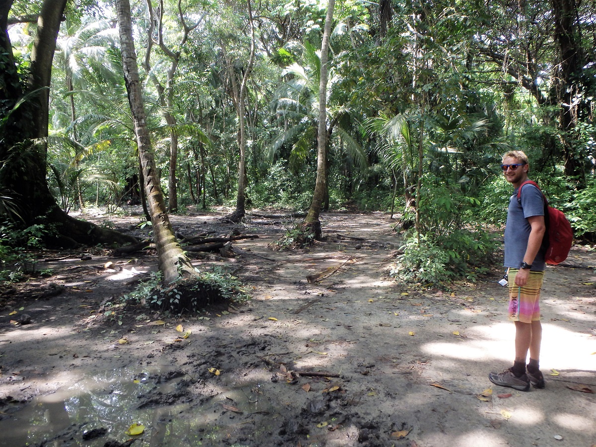 Hiking through the forest in Tayrona National Park