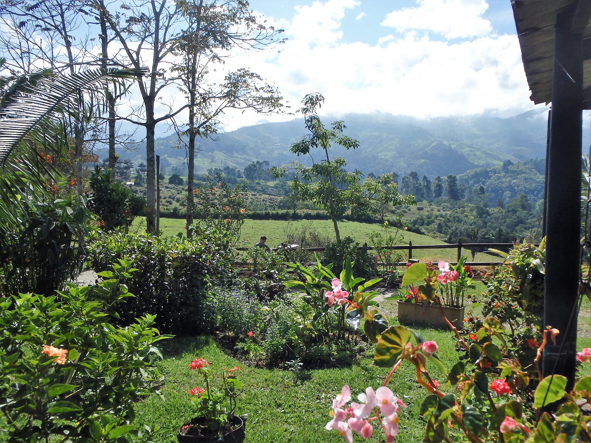 The view of flowers, hills and mountains from our hostel in Salento