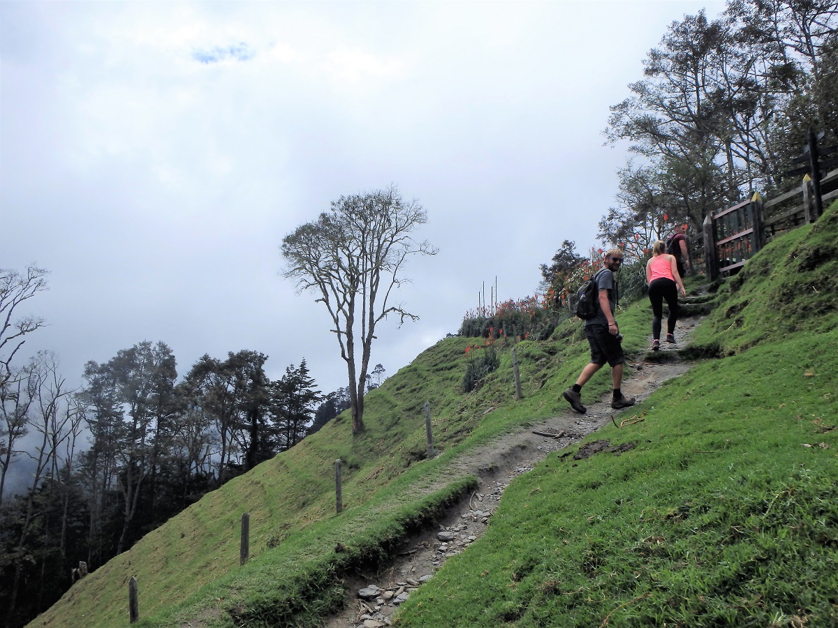 Rhys and our hiking buddies reaching the top of the trail