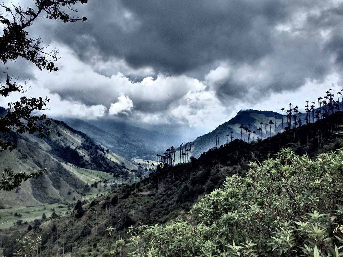 Dark clouds loom over the Cocora Valley