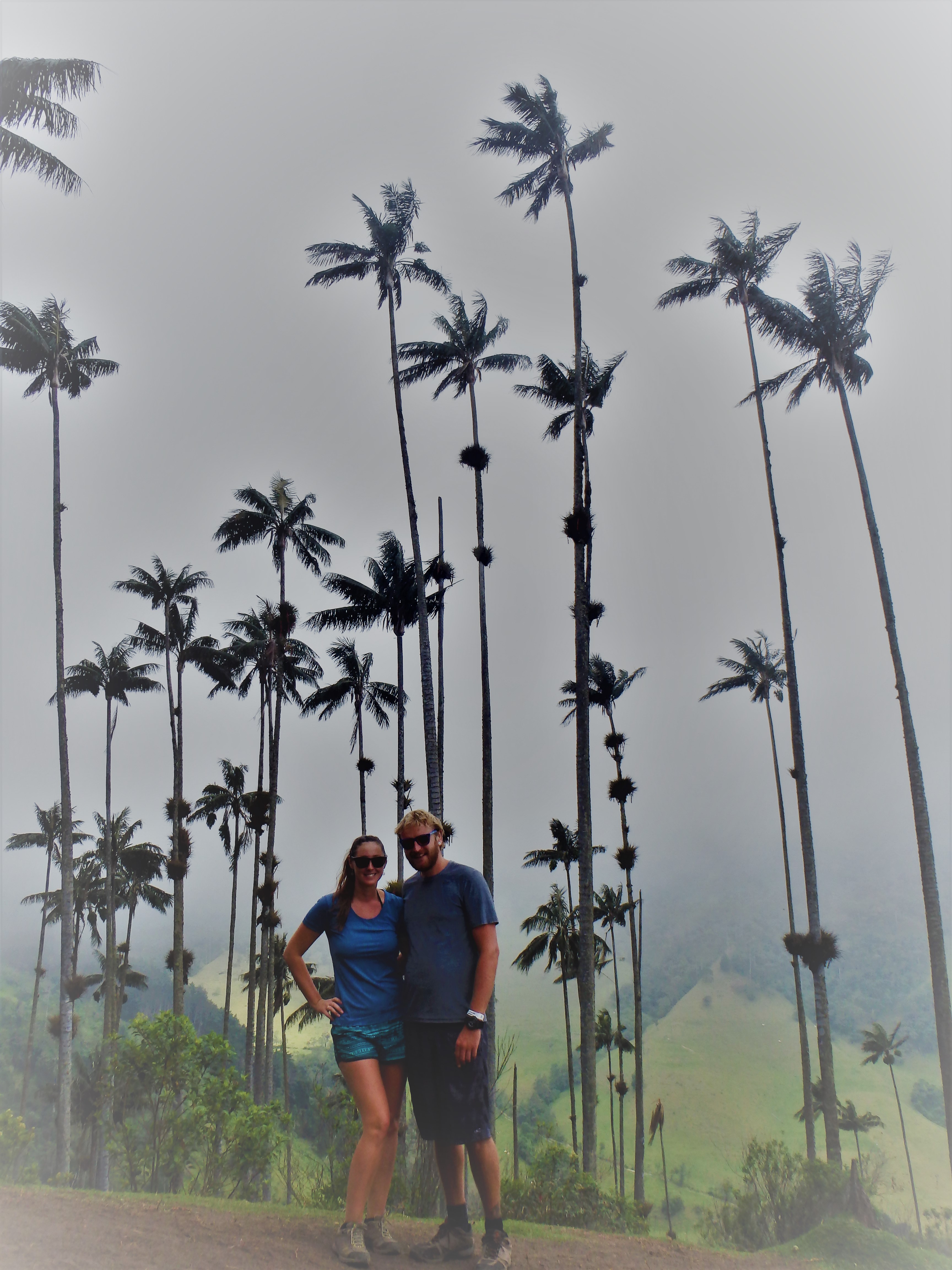 Us beneath the tall wax palms