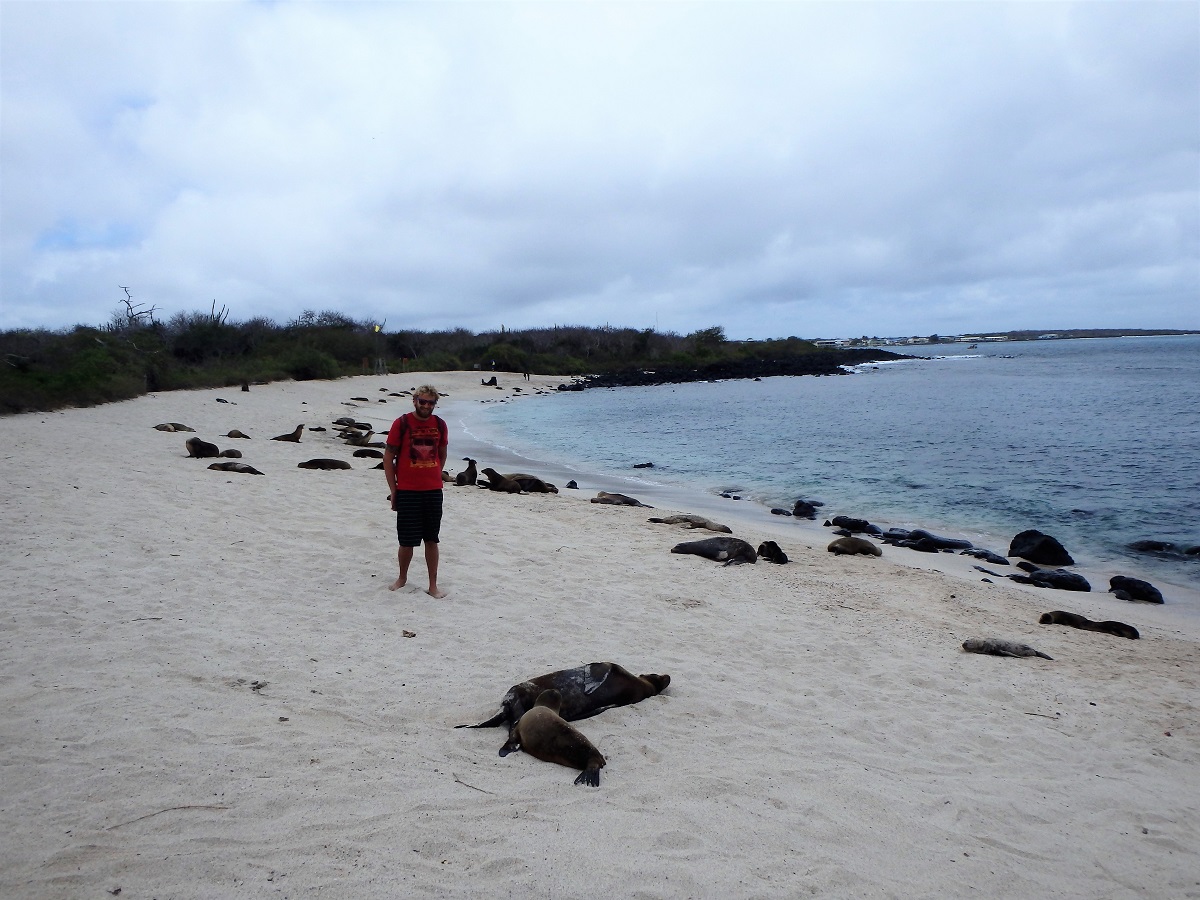 Rhys amongst the sea lions on Punta Corola beach on a cloudy day