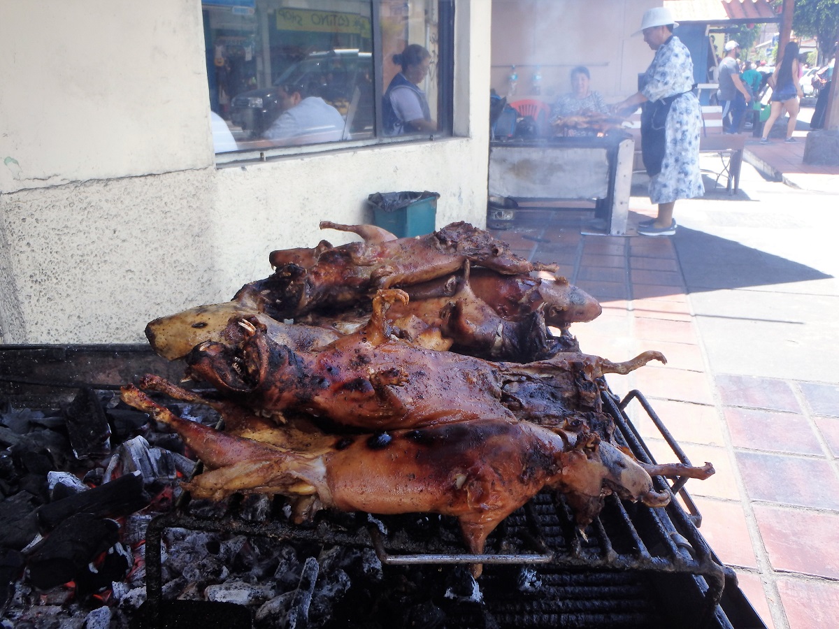 Cuy on the barbecue in Ecuador