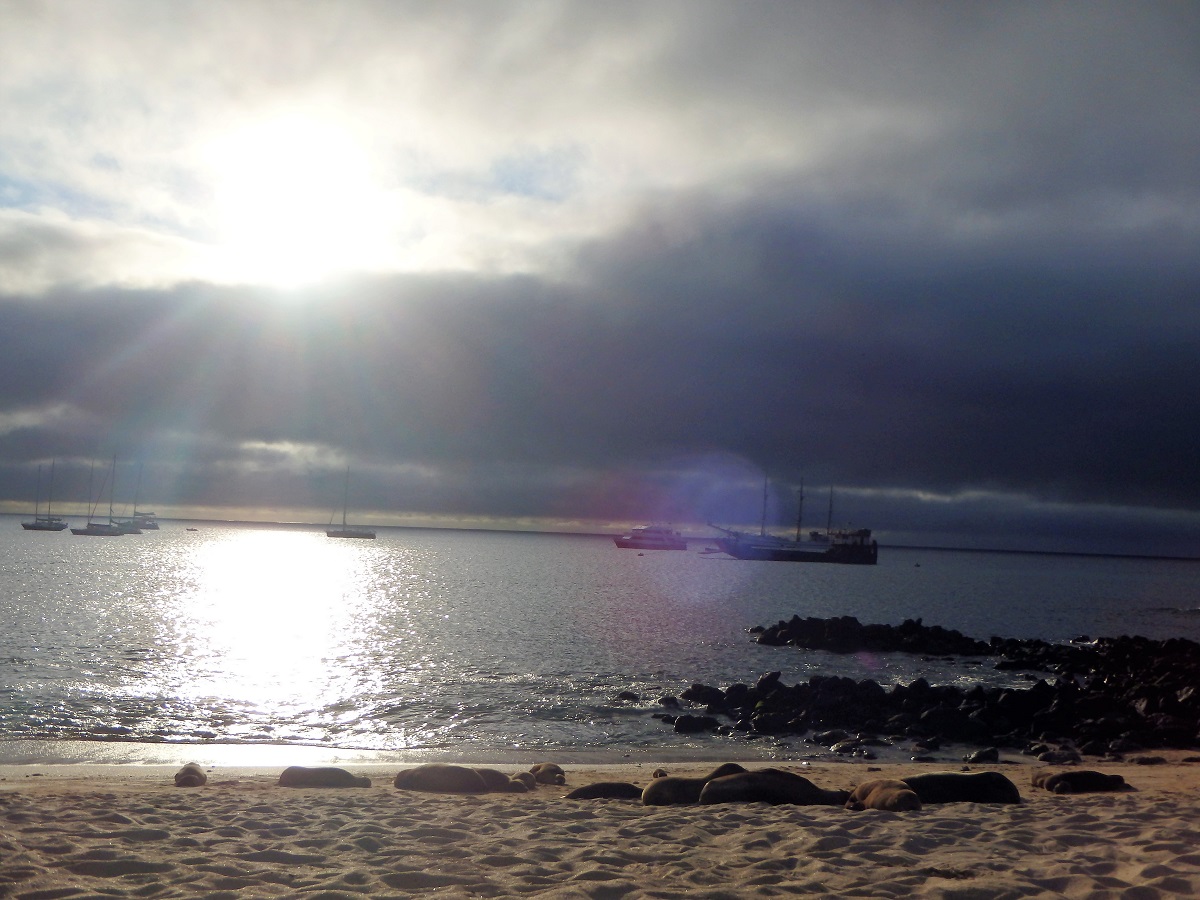 Another sea lion-laden shoreline with dark clouds creeping up on the sun as it sets