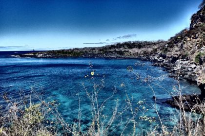 Galapagos, archipelago, San Cristobal, islands, Charles Darwin, Cerro Tijeretas. Frigate Hill, Sea Lions, snorkelling,