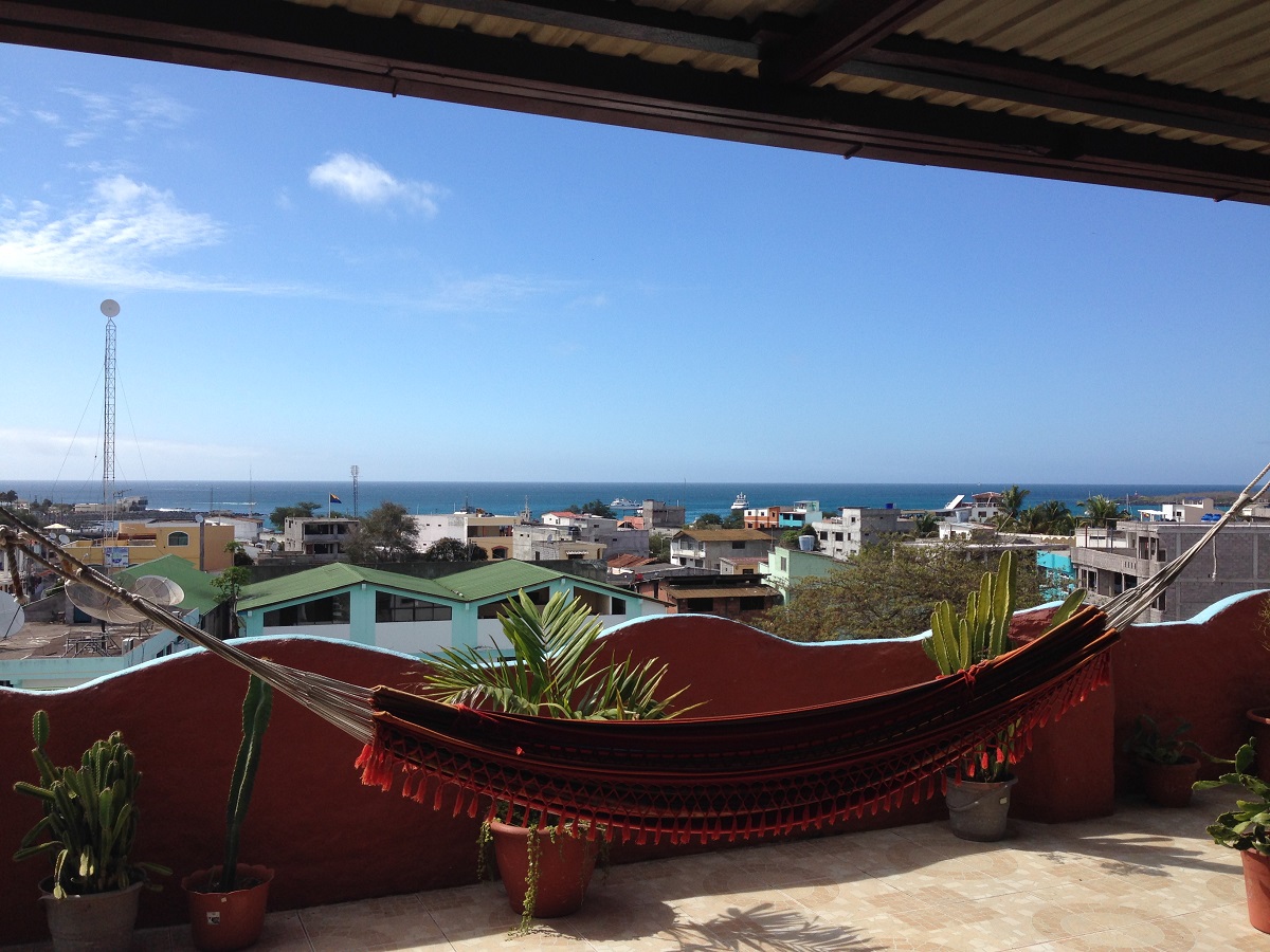 A hammock with a view out over town and the ocean