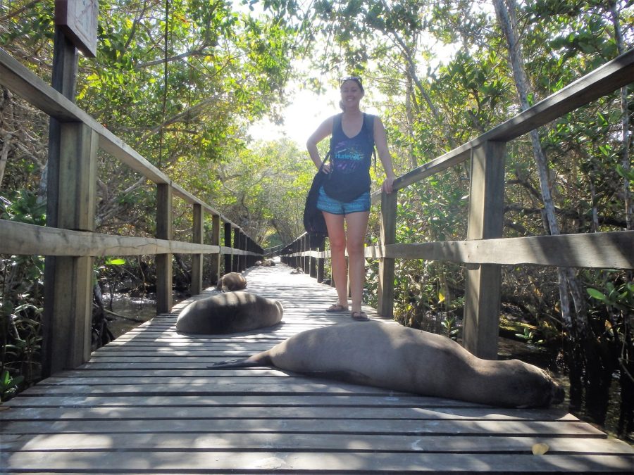 Me wondering how to cross the three sleeping sea lions on the boardwalk