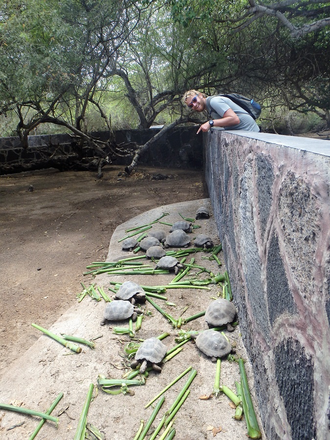 Rhys excited to see bab giant tortoises