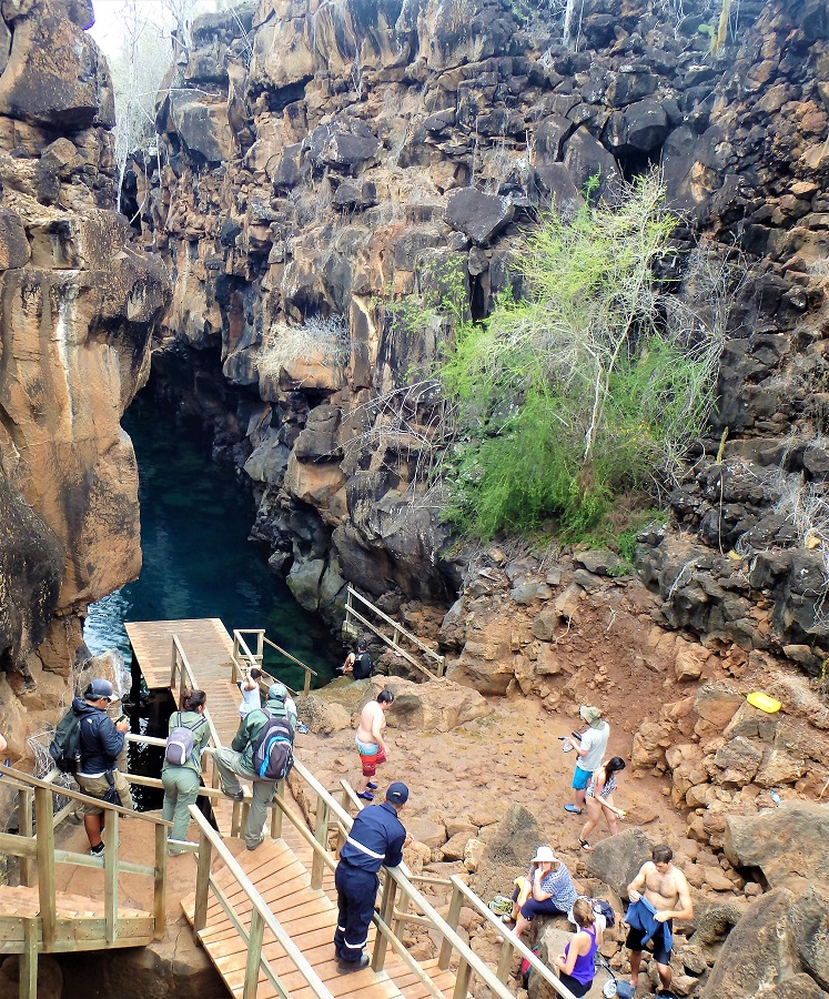 Galapagos Islands, archipelago, Santa Cruz, Isabela, San Cristobal, sea lions, Las Grietas, snorkelling, free diving