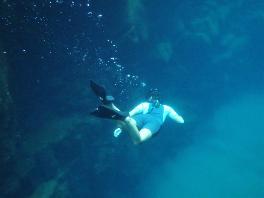 Galapagos Islands, archipelago, Santa Cruz, Isabela, San Cristobal, sea lions, Grietas, snorkelling, free diving