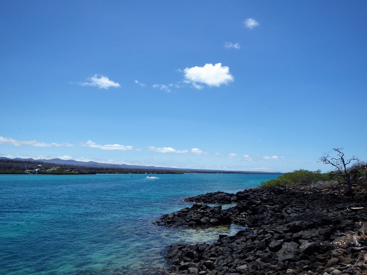 The view over the ocean from Baltra Island's ferry dock