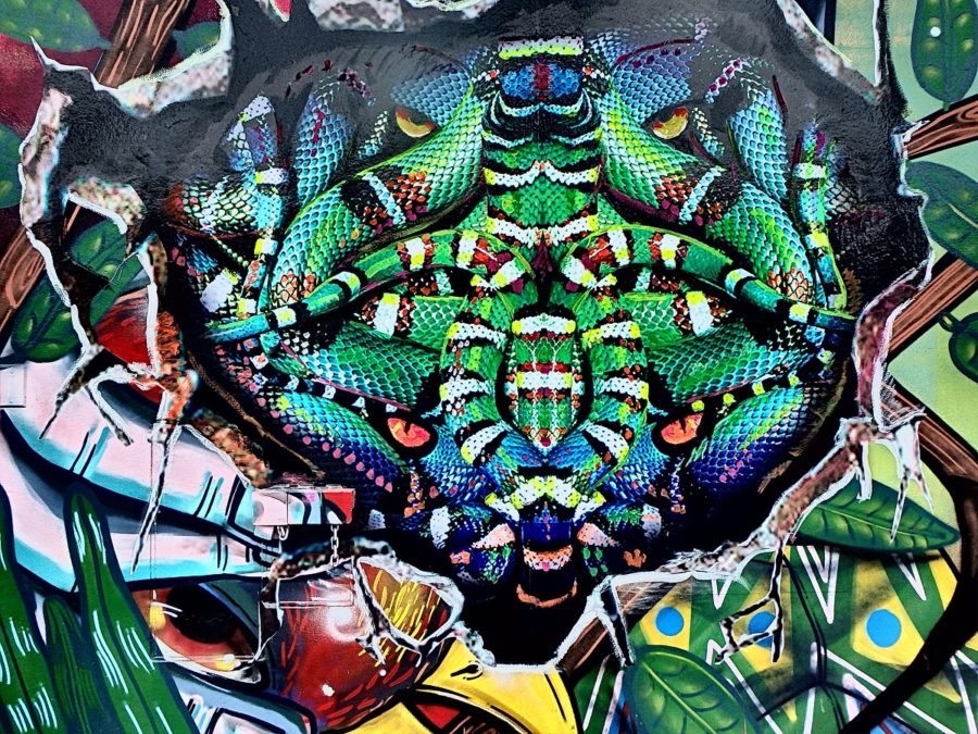 An intricate and colorful mural of a snake head