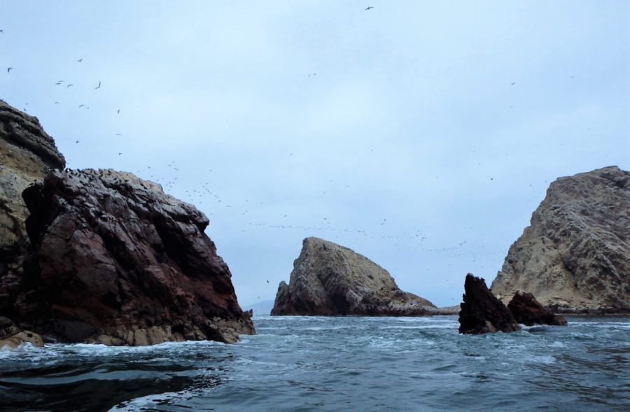 South America, Peru, Paracas, Paracas National Reserve, Isla Ballestas