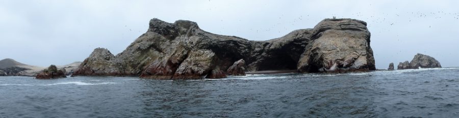 South America, Peru, Paracas, Paracas National Reserve, Isla Ballestas