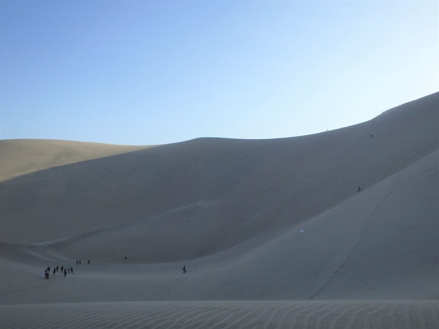 South America, Peru, Huacachina, Nasca, Nazca, Ica Region, desert, oasis, sandboarding