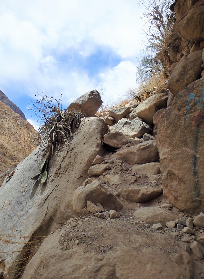 A steep section of the trail which was more of a scramble