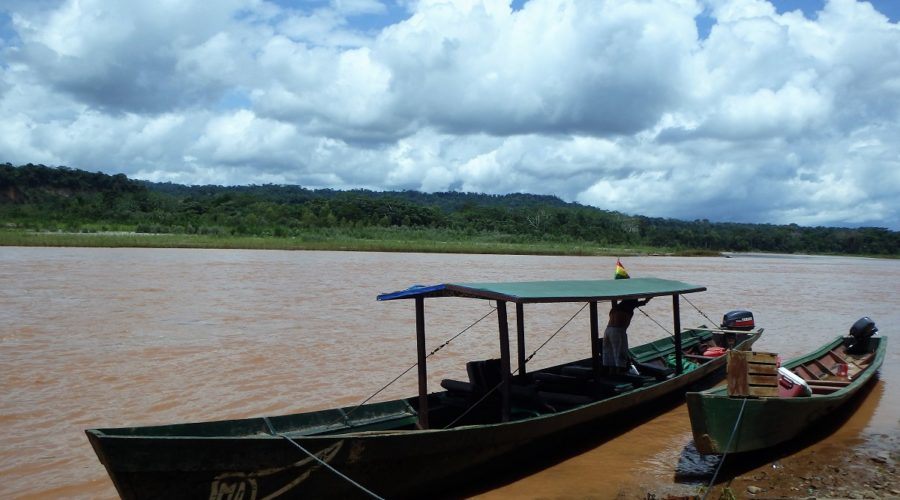 Bolivia's Amazon, Amazon Jungle, Amazon Pampas Wetlands, Bolivia, Rurrenabaque, South America, Backpacking, Budget Travel, Couple Travel, boat ride