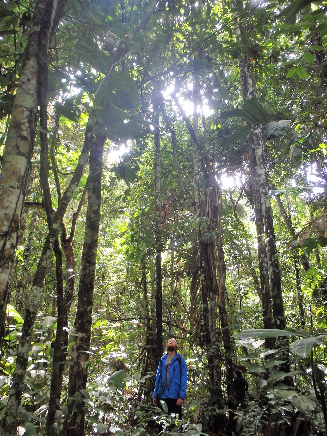 Bolivia's Amazon, Amazon Jungle, Amazon Pampas Wetlands, Bolivia, Rurrenabaque, South America, Backpacking, Budget Travel, Couple Travel