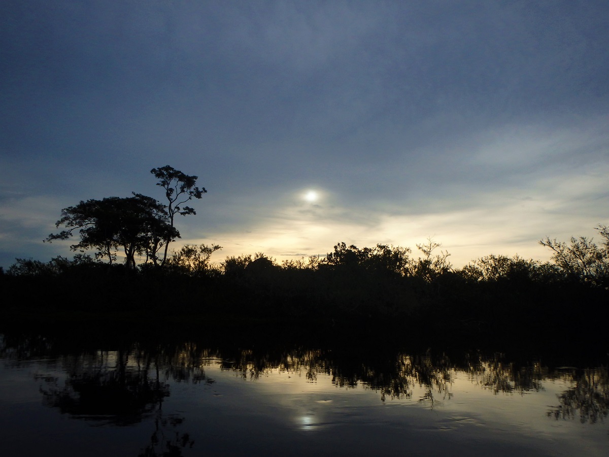 Bolivia's Amazon, Amazon Jungle, Amazon Pampas Wetlands, Bolivia, Rurrenabaque, South America, Backpacking, Budget Travel, Couple Travel, sunset