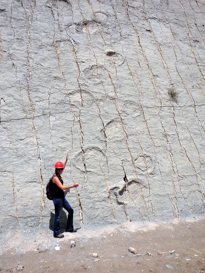 South America, Bolivia, Budget Travel, Backpacking, Jacks On a Journey, Sucre, Dionsaur footprints, Parque Cretácico, fossils, archaeological site