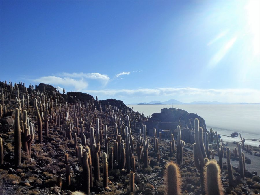 South America, Bolivia, Budget Travel, Backpacking, Jacks On a Journey, Uyuni, Bolivian Salt Flats, Salar de Uyuni, Tours,