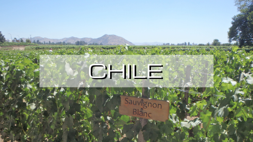 Destinations for budget travel, Jacks on a Journey, Chile, Santiago, San Pedro de Atacama, La Serena, Valparaiso, Vina del Mar, chilean, vineyards, chilean wine, pastel de choco, Castillo del Diablo, desert, star gazing