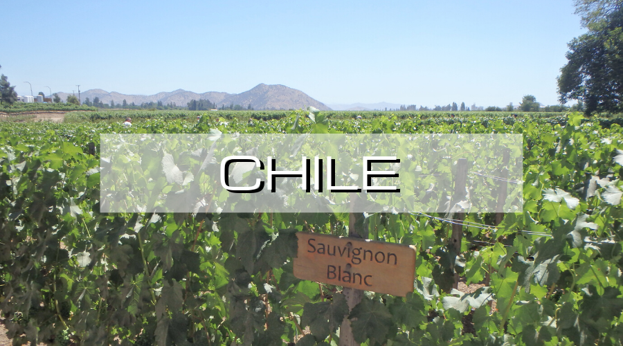 Destinations for budget travel, Jacks on a Journey, Chile, Santiago, San Pedro de Atacama, La Serena, Valparaiso, Vina del Mar, chilean, vineyards, chilean wine, pastel de choco, Castillo del Diablo, desert, star gazing