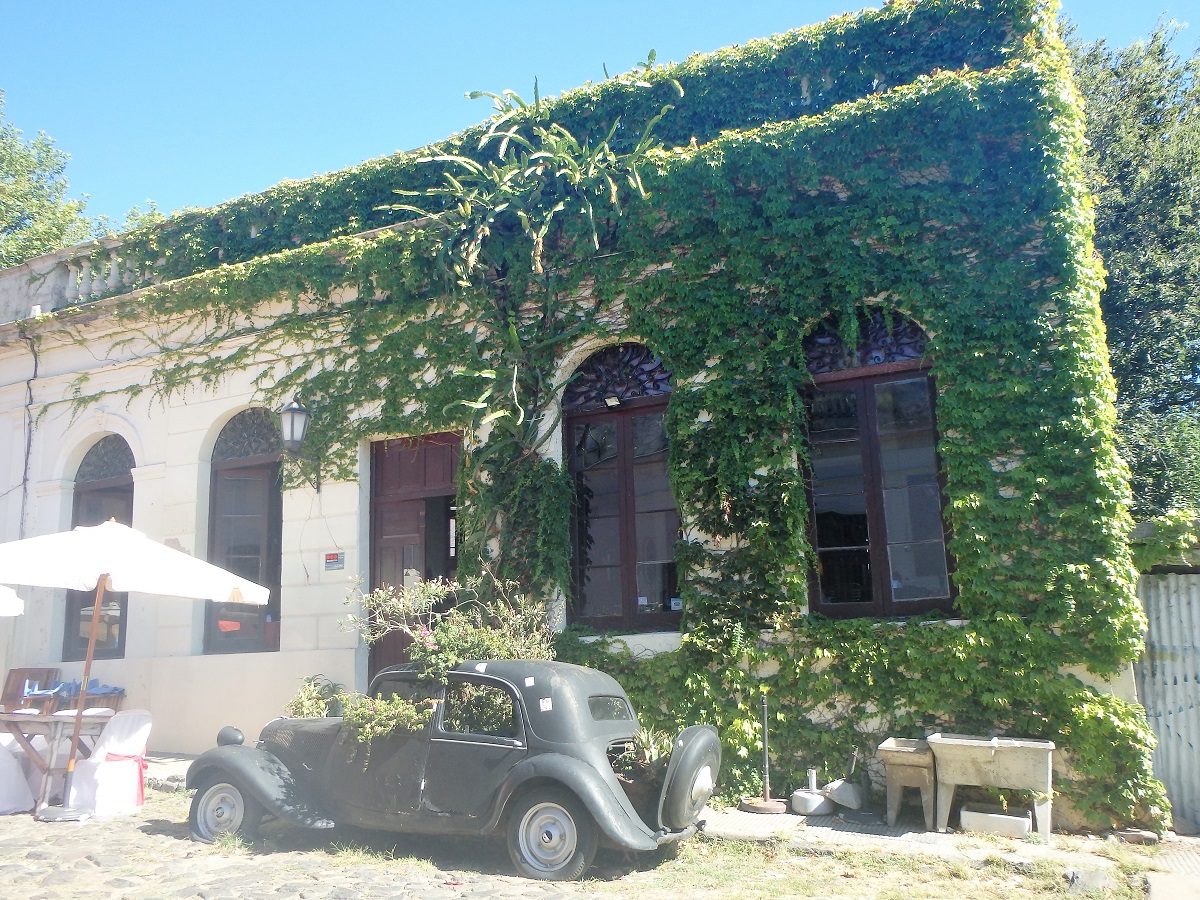 An ivy covered building and car