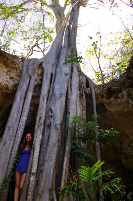 A stop at Crystal Caves makes our Vacation Guide to Grand Cayman