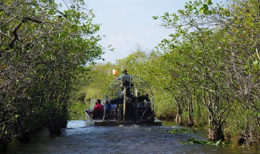 Airboat riding through Florida's wetlands