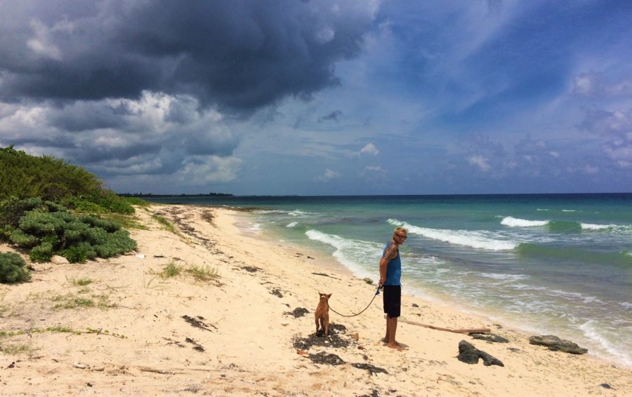 Rhys dog walking up Barkers Beach