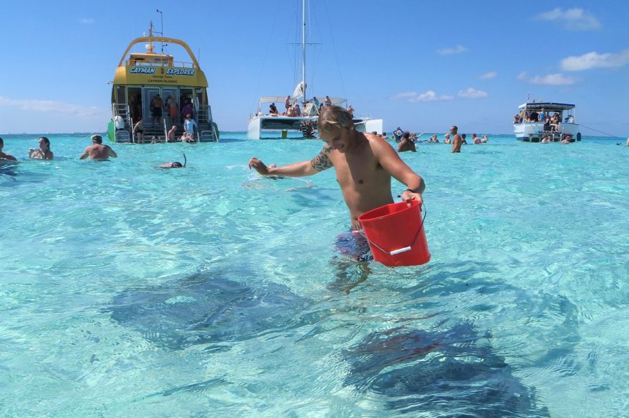 Our vacation guide to Grand Cayman includes Stingray City Sandbar